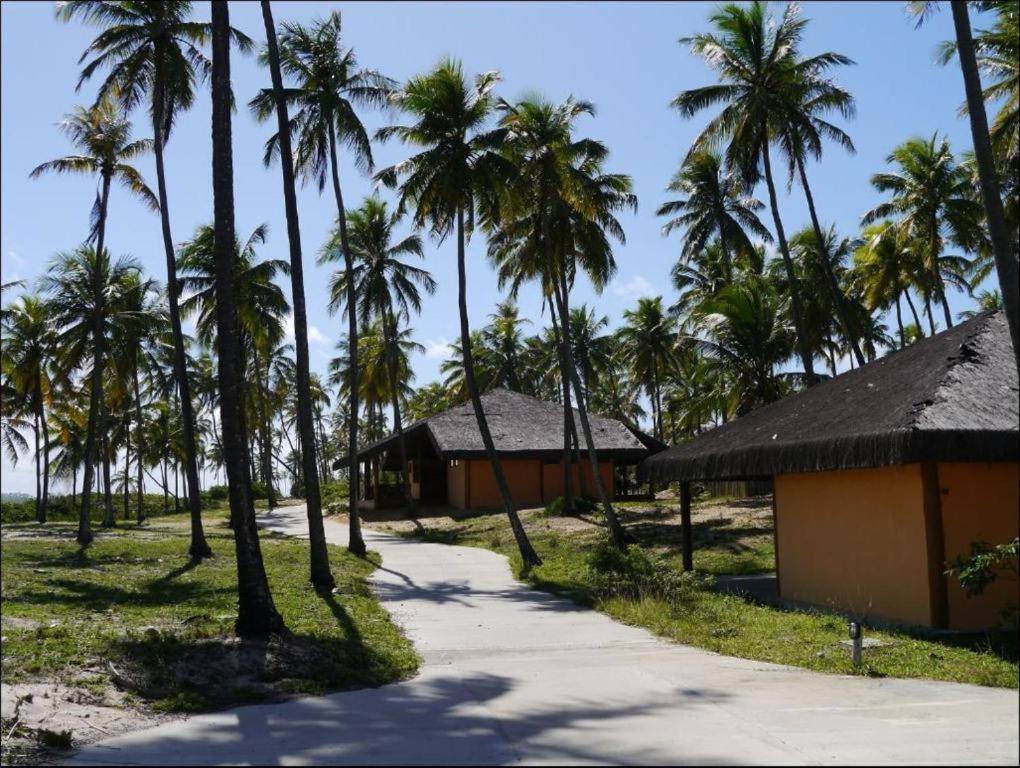 Reserva Imbassai Apartamento 04 Suites Mata de Sao Joao Luaran gambar